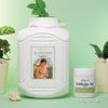 Aloe Vera Cream - 5 kg | with 200g Refillable Jar
