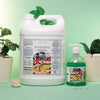 Aloe Vera Hand Wash 5 Litre | with 500ml Handwash Complimentary