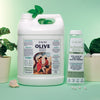 Olive Body Massage Oil - 5 Litre | with 500ml Refillable Bottle