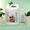 Peppermint Body Massage Oil - 5 Litre | with 500ml Refillable Bottle